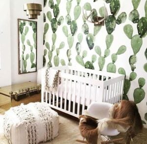 Interior Nursery Design: Succulents