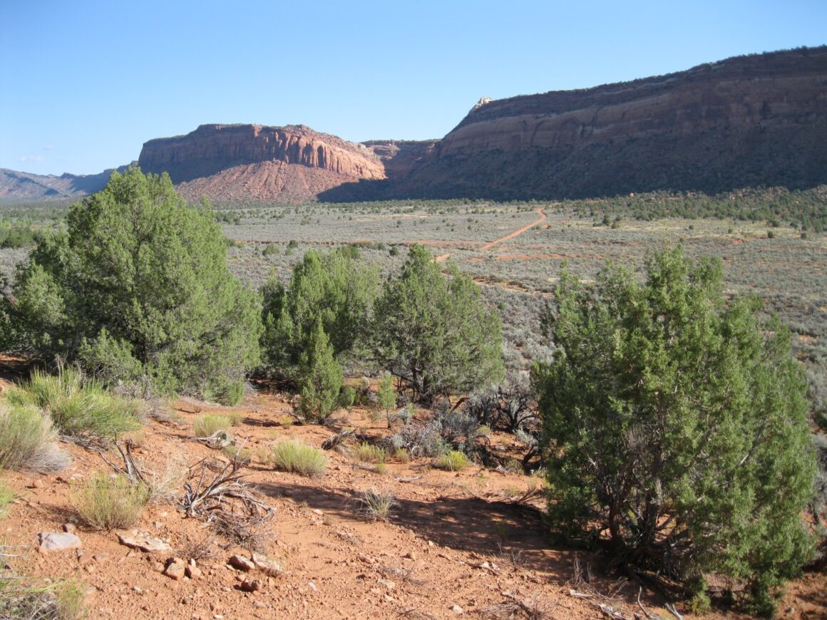 Utah ATV Trails 14 Awesome Trails You Can't Miss Neighbor Blog