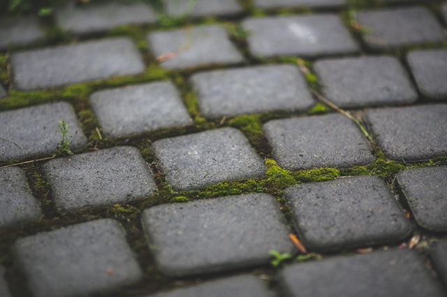 garden-moss-stone-setting