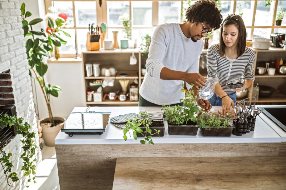 man and woman transplanting herbs for an indoor herb garden