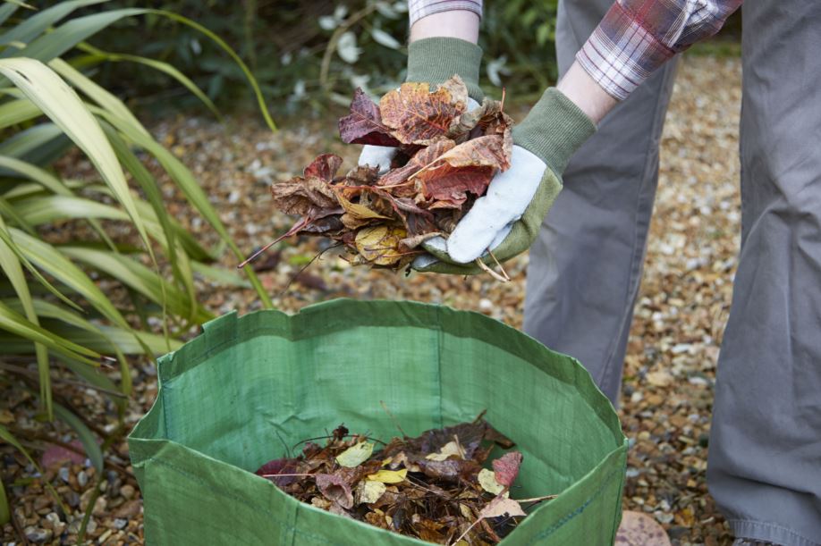 someone clearing away leaves into a green waste bag