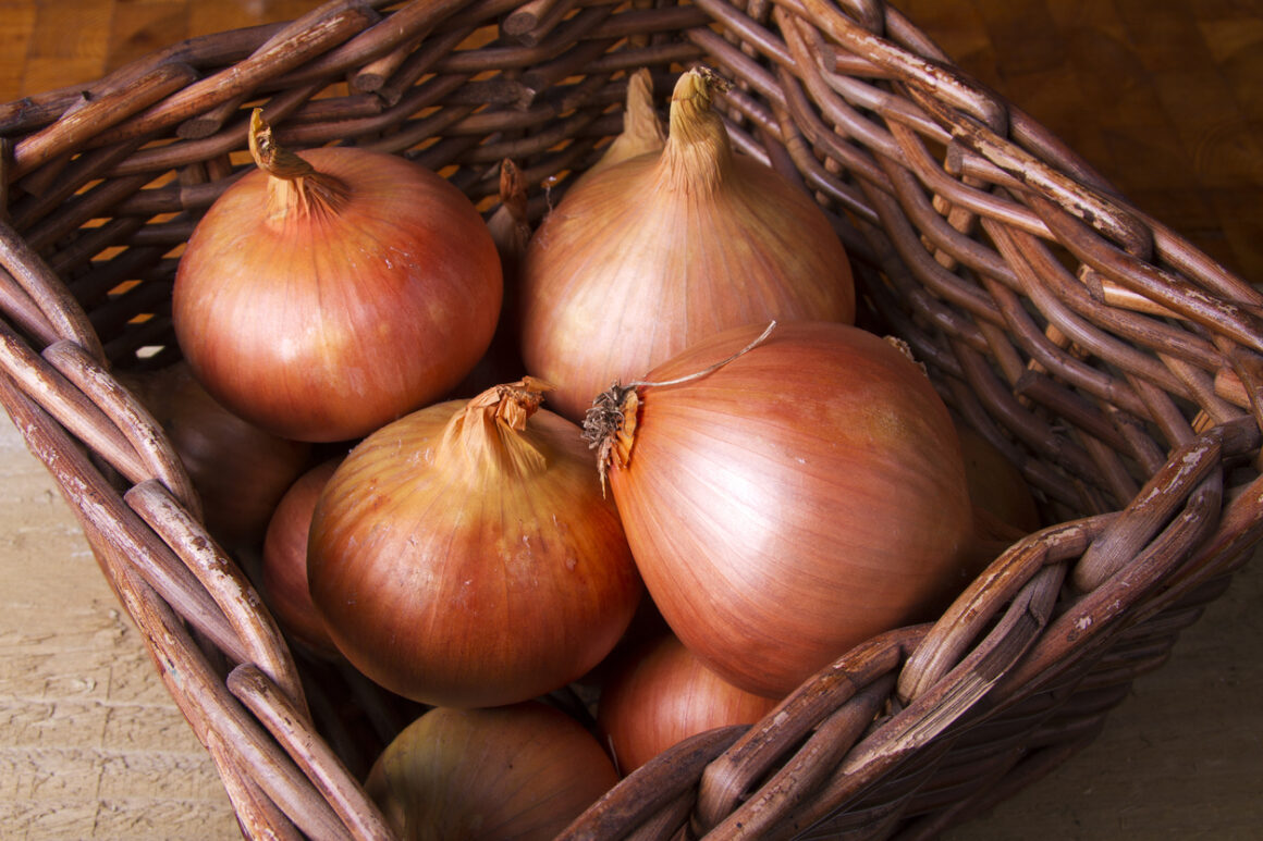 How to Store Onions and Keep Them Fresh Neighbor Blog