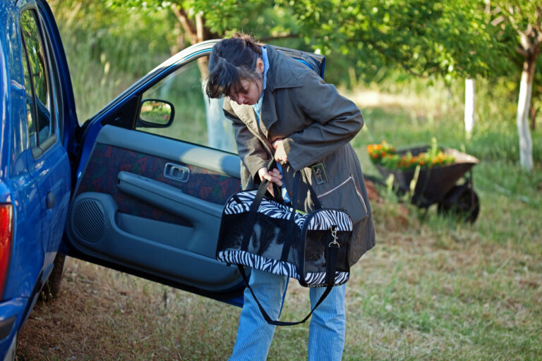 A Comprehensive Guide on How to Move Long Distances With Pets Neighbor Blog