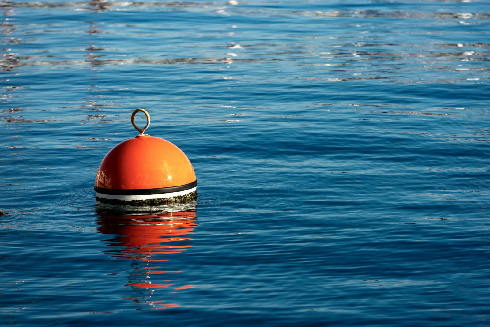 A StepbyStep Guide to Mooring a Boat Neighbor Blog