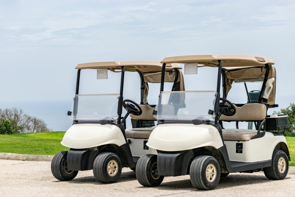 Gas Vs Electric Golf Cart Which One to Choose? Neighbor Blog